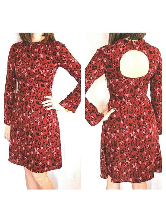 & Other Stories Dresses & Skirts - & Other Stories Womens sz 4 Dress Long sleeve Button up $85 Red Leopard print
